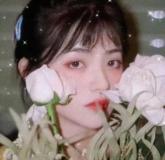 鲨女大屠杀